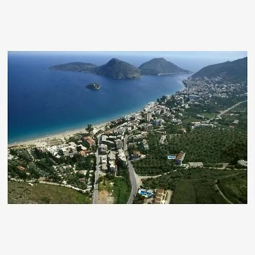 아파트 Ammogion *